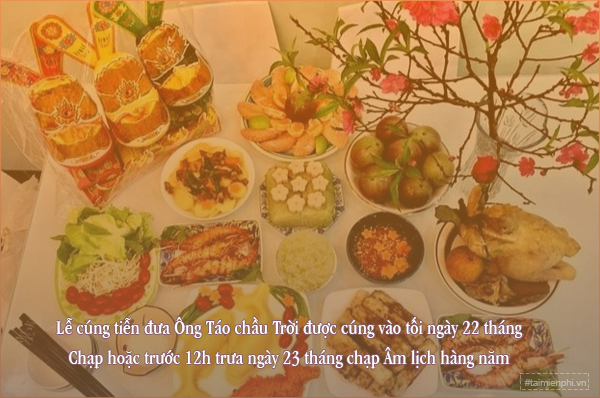 bai cung ong cong ong tao 2022 2 bai cung ong cong ong tao 2022 2