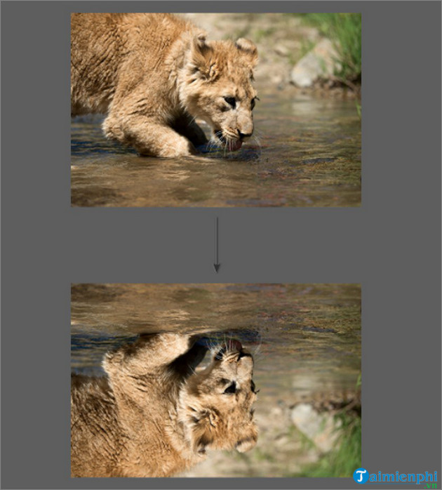 cach lam anh phan chieu trong photoshop 6 cach lam anh phan chieu trong photoshop 6