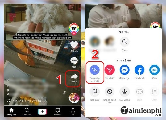 cach tai videotiktok khong co dau watermark 72 cach tai videotiktok khong co dau watermark 72