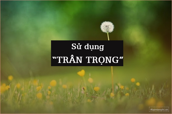 chan trong hay tran trong 1 chan trong hay tran trong 1