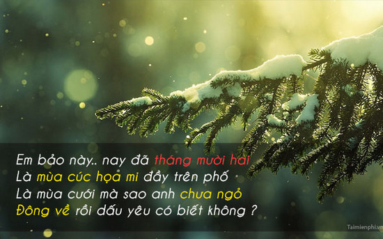 hinh anh chao thang 12 lam stt 5 hinh anh chao thang 12 lam stt 5