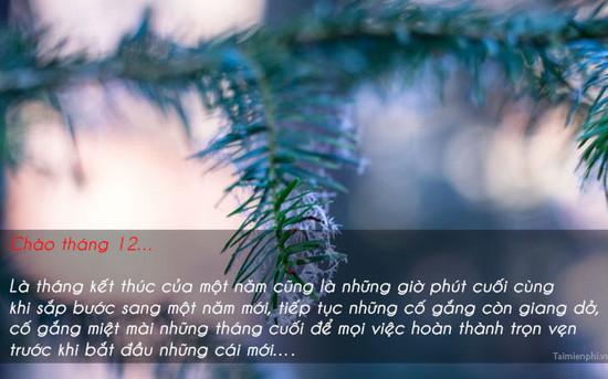 hinh anh chao thang 12 lam stt 7 hinh anh chao thang 12 lam stt 7