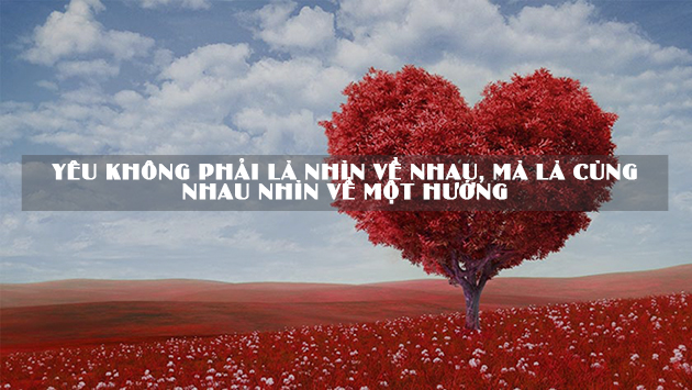 hinh nen Valentine ngay le tinh yeu 60 hinh nen Valentine ngay le tinh yeu 60