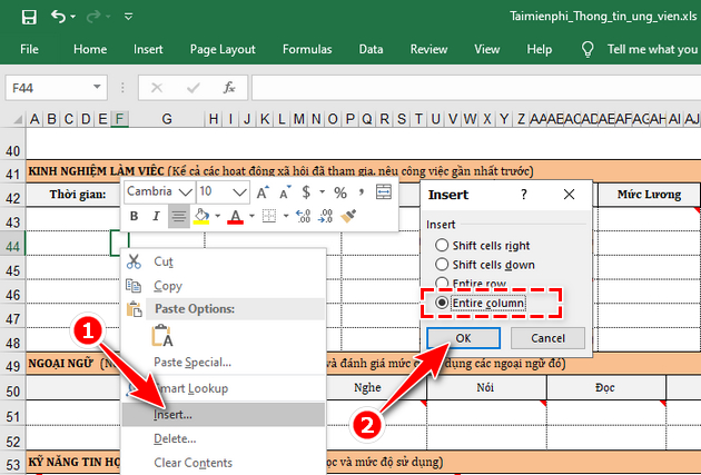 huong dan lam phieu tuyen dung bang excel 3 huong dan lam phieu tuyen dung bang excel 3