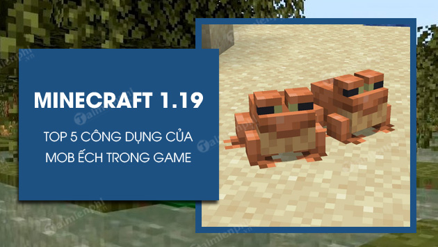 top 5 cong dung cua ech trong minecraft 1 19 top 5 cong dung cua ech trong minecraft 1 19