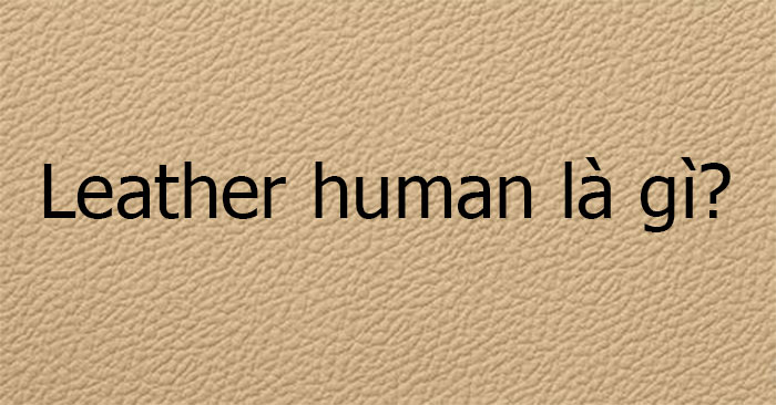 Leather human la gi THPT Pham Hong Thai Leather human la gi THPT Pham Hong Thai