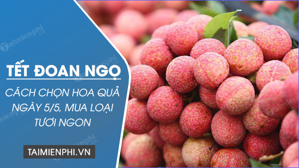 cach chon hoa qua ngay tet doan ngo 31 cach chon hoa qua ngay tet doan ngo 31