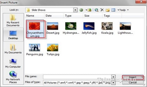 chen hinh anh trong powerpoint 2 chen hinh anh trong powerpoint 2