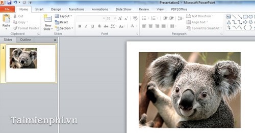 chen hinh anh trong powerpoint 6 chen hinh anh trong powerpoint 6