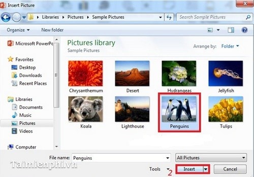 Cách chèn ảnh vào Powerpoint cực đơn giản chi tiết cho mọi phiên bản