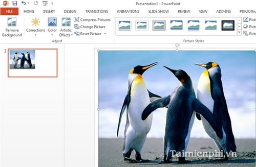 chen hinh anh trong powerpoint 9 chen hinh anh trong powerpoint 9