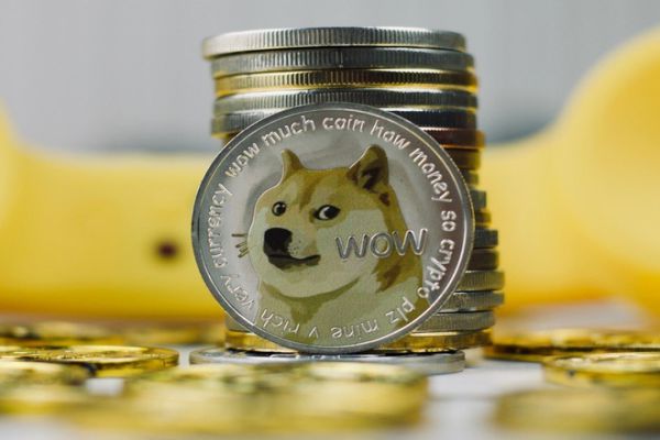 dong-dogecoin