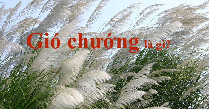 gio chuong 700 gio chuong 700