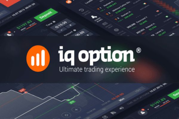 iq-option-la-gi