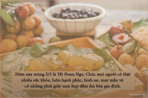 loi chuc tet doan ngo mung 5 5 am lich hay nhat 1 loi chuc tet doan ngo mung 5 5 am lich hay nhat 1