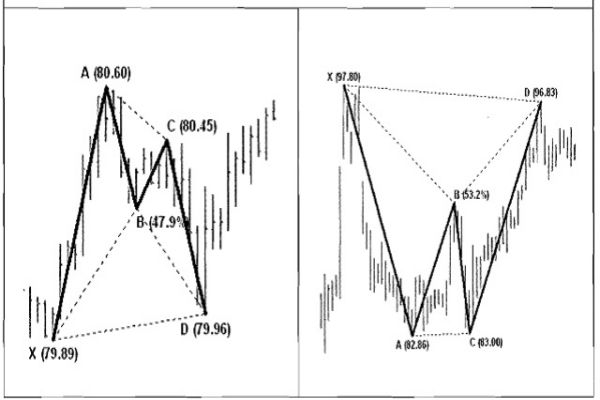 mo-hinh-gia-harmonic