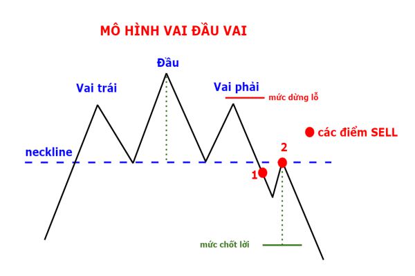 mo-hinh-vai-dau-vai