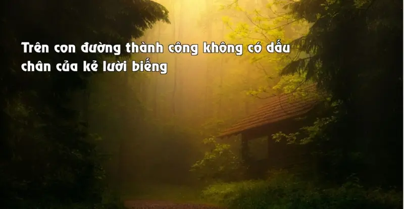 Không ai có thể gặt hái thành công mà chưa từng gieo trồng