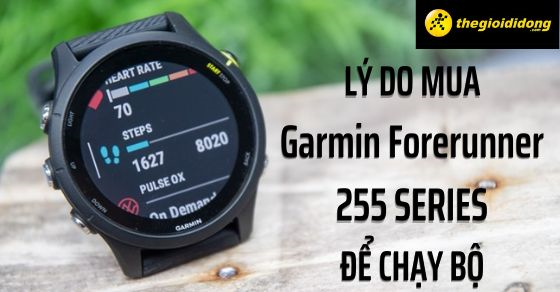 nhung ly do nen mua dong ho garmin forerunner 255 series THUMB nhung ly do nen mua dong ho garmin forerunner 255 series THUMB