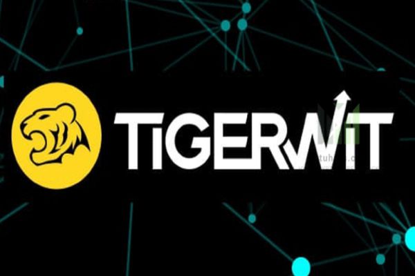 san-tigerwit