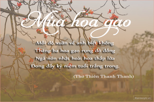 tho ve hoa gao hay nhat 1 tho ve hoa gao hay nhat 1