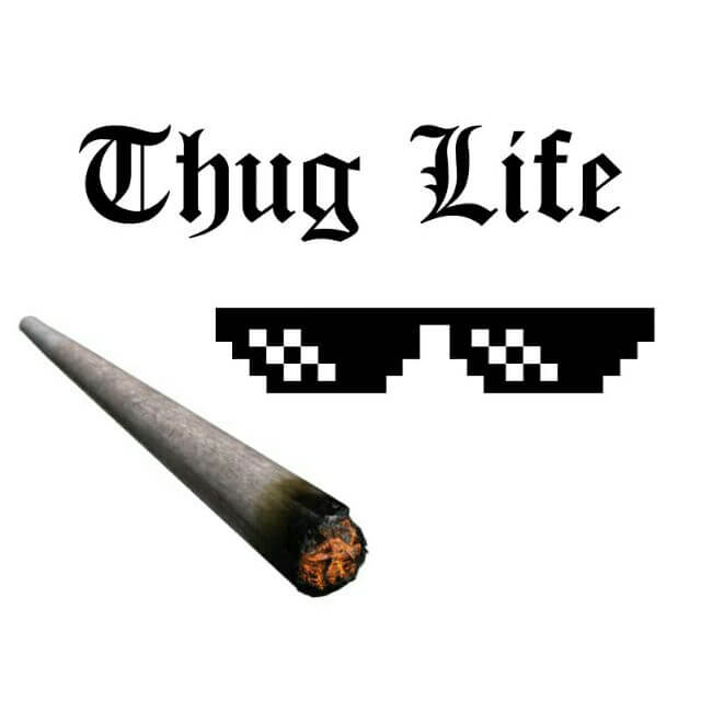 thug life la gi thug life la gi