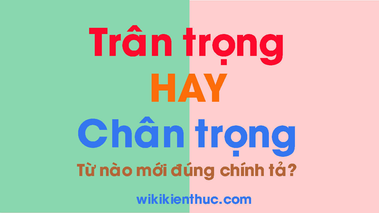 tran trong hay chan trong tran trong hay chan trong