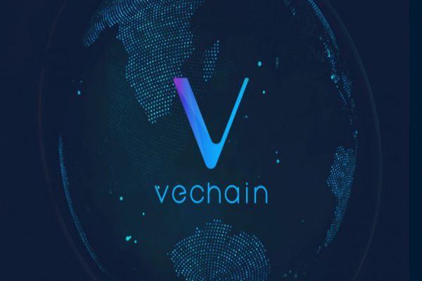 vet-coin