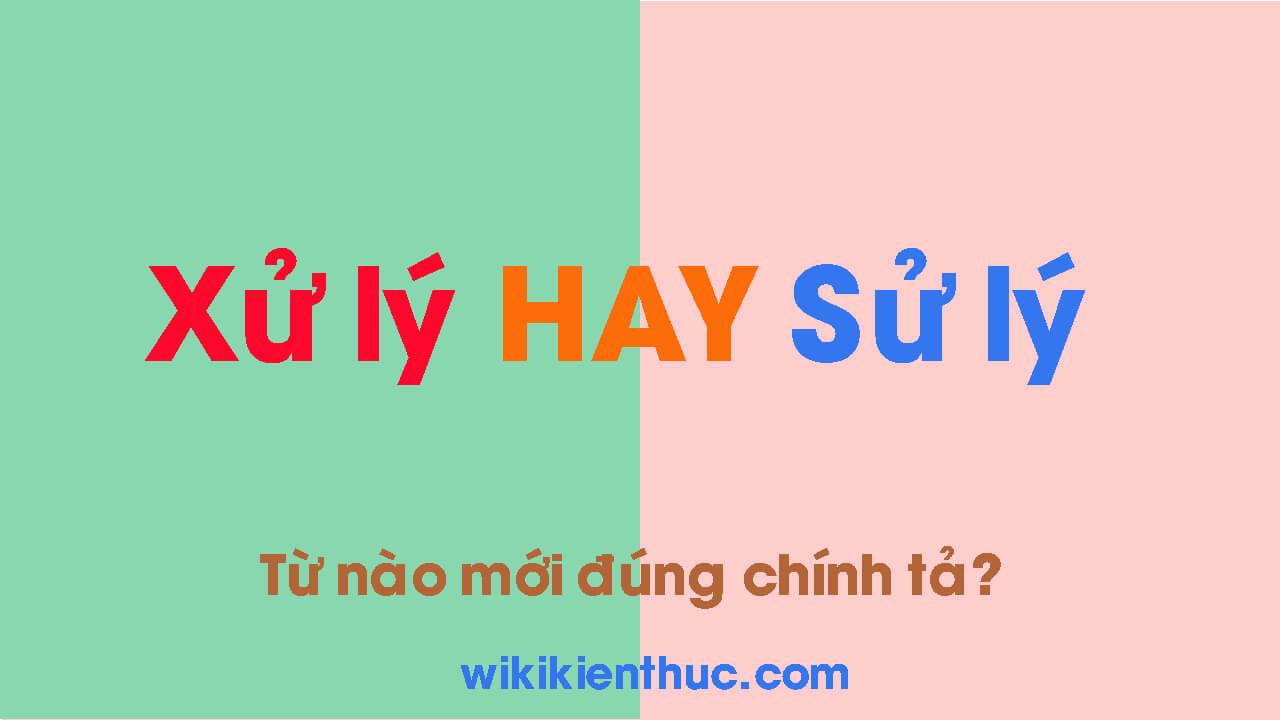 xu ly hay su ly xu ly hay su ly