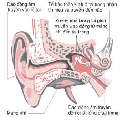 Hình 124 trang 36 sgk vật lý 7