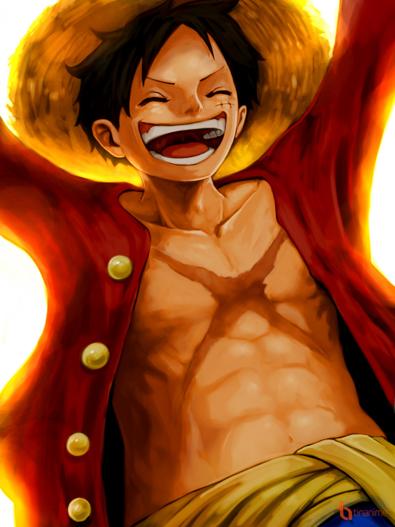 100 Hình nền ảnh Luffy One Piece full HD cho máy tính điện thoại