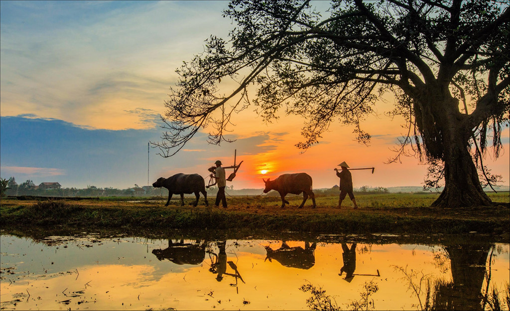 Hình Nền Yên Tĩnh Bình Yên Chill Theo Từng Khung Hình