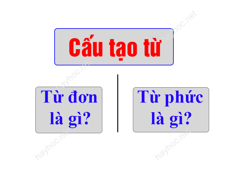 1651883196 740 Tu don la gi tu phuc la gi Phan biet