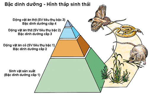 Kiến thức cần nắm - Hoc24