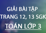 Giai bai tap trang 1213 SGK Toan 3 Tap 2 Giai bai tap trang 1213 SGK Toan 3 Tap 2