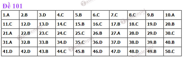 QnX1 dap an de thi toan tot nghiep thpt nam 2022 ma de 101 QnX1 dap an de thi toan tot nghiep thpt nam 2022 ma de 101