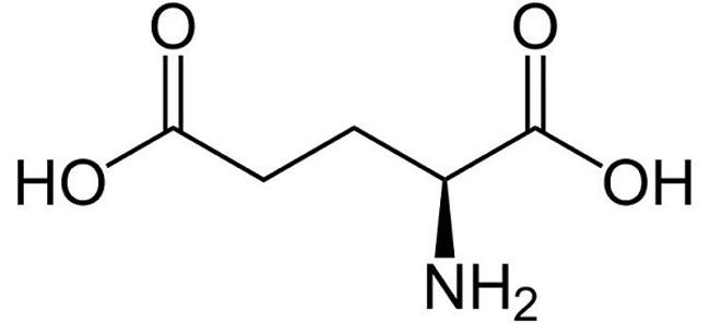 axit glutamic 3 1 axit glutamic 3 1