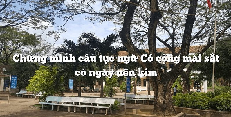 Em hãy chứng minh câu tục ngữ có công mài sắt có ngày nên kim