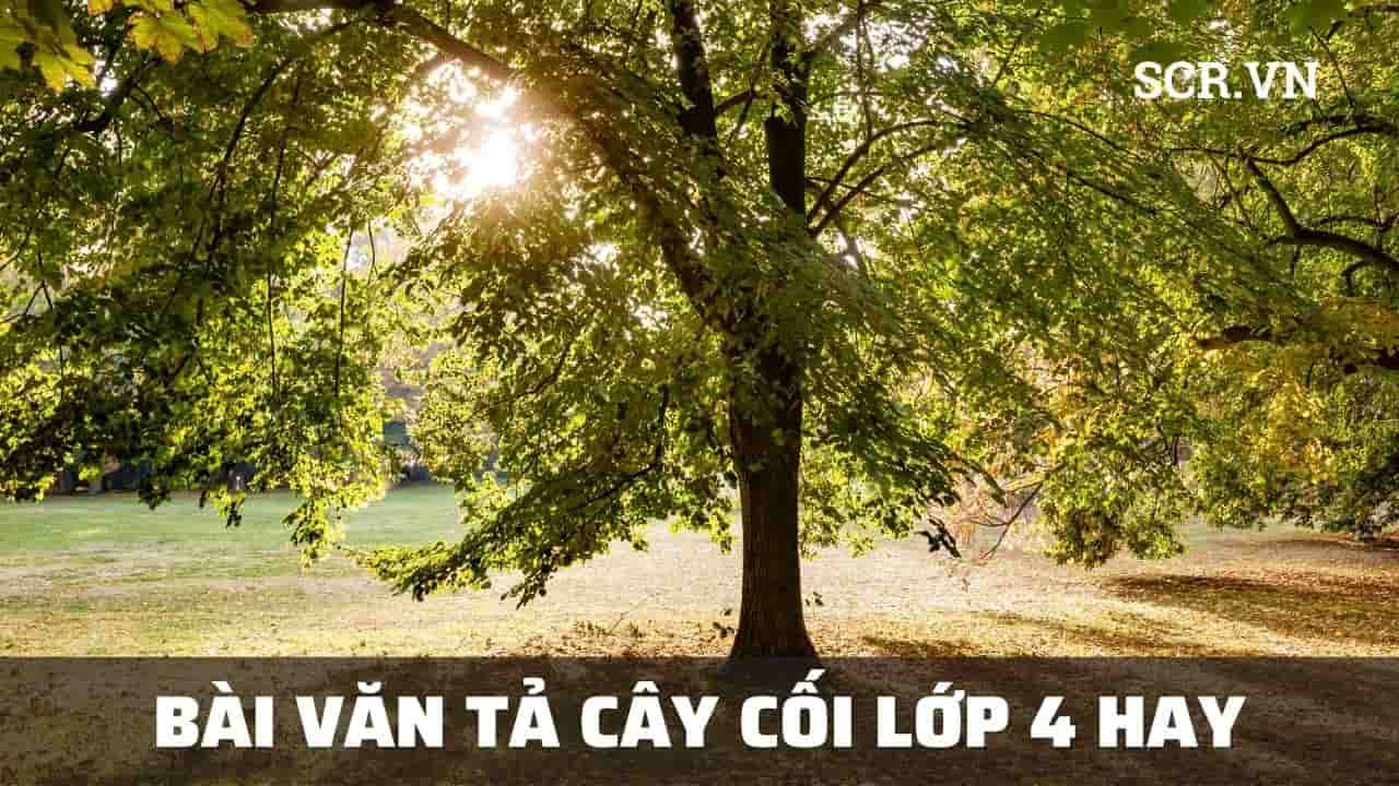 bai van ta cay coi lop 4 bai van ta cay coi lop 4