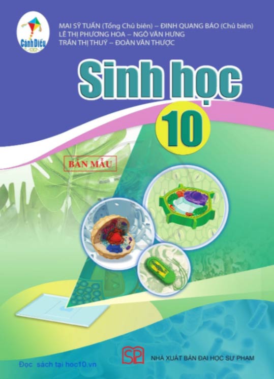 bo sach giao khoa lop canh dieu 5 1 bo sach giao khoa lop canh dieu 5 1