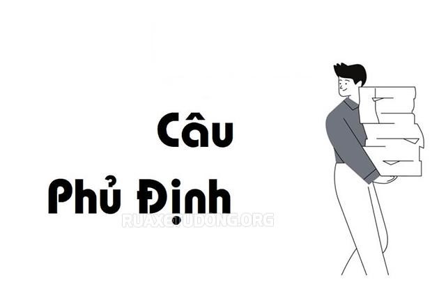 Câu phủ định là gì? Các loại câu phủ định và ví dụ trong văn lớp 8 - Rửa xe tự động