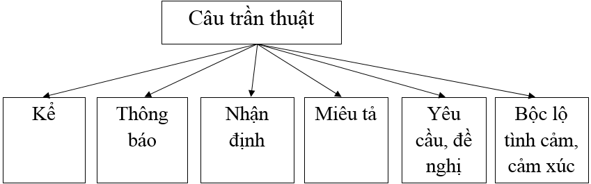 Câu trần thuật - Ngữ văn lớp 8