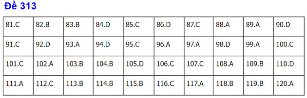 dap an de thi gdcd tot nghiep thpt nam 2022 ma de 313 dap an de thi gdcd tot nghiep thpt nam 2022 ma de 313