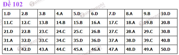 dap an de thi toan tot nghiep thpt nam 2022 ma de 102 dap an de thi toan tot nghiep thpt nam 2022 ma de 102