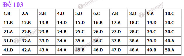 dap an de thi toan tot nghiep thpt nam 2022 ma de 103 dap an de thi toan tot nghiep thpt nam 2022 ma de 103