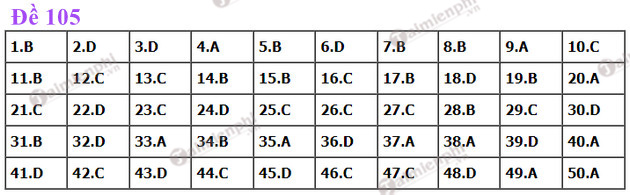dap an de thi toan tot nghiep thpt nam 2022 ma de 105 dap an de thi toan tot nghiep thpt nam 2022 ma de 105
