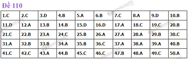 dap an de thi toan tot nghiep thpt nam 2022 ma de 110 dap an de thi toan tot nghiep thpt nam 2022 ma de 110