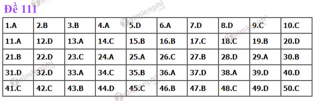 dap an de thi toan tot nghiep thpt nam 2022 ma de 111 dap an de thi toan tot nghiep thpt nam 2022 ma de 111
