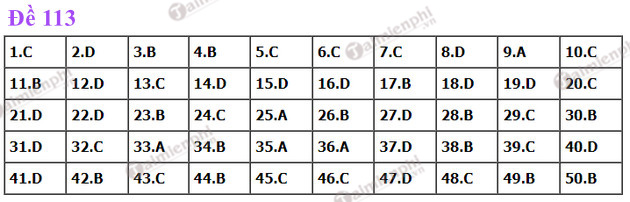 dap an de thi toan tot nghiep thpt nam 2022 ma de 113 dap an de thi toan tot nghiep thpt nam 2022 ma de 113
