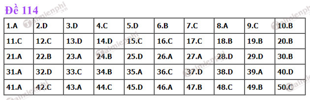 dap an de thi toan tot nghiep thpt nam 2022 ma de 114 dap an de thi toan tot nghiep thpt nam 2022 ma de 114